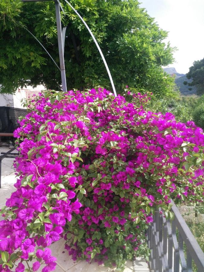 צ'פאלו Incantevole Villa Con Vista Mozzafiato מראה חיצוני תמונה