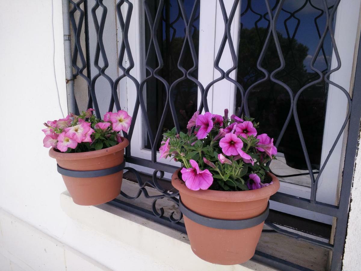 צ'פאלו Incantevole Villa Con Vista Mozzafiato מראה חיצוני תמונה